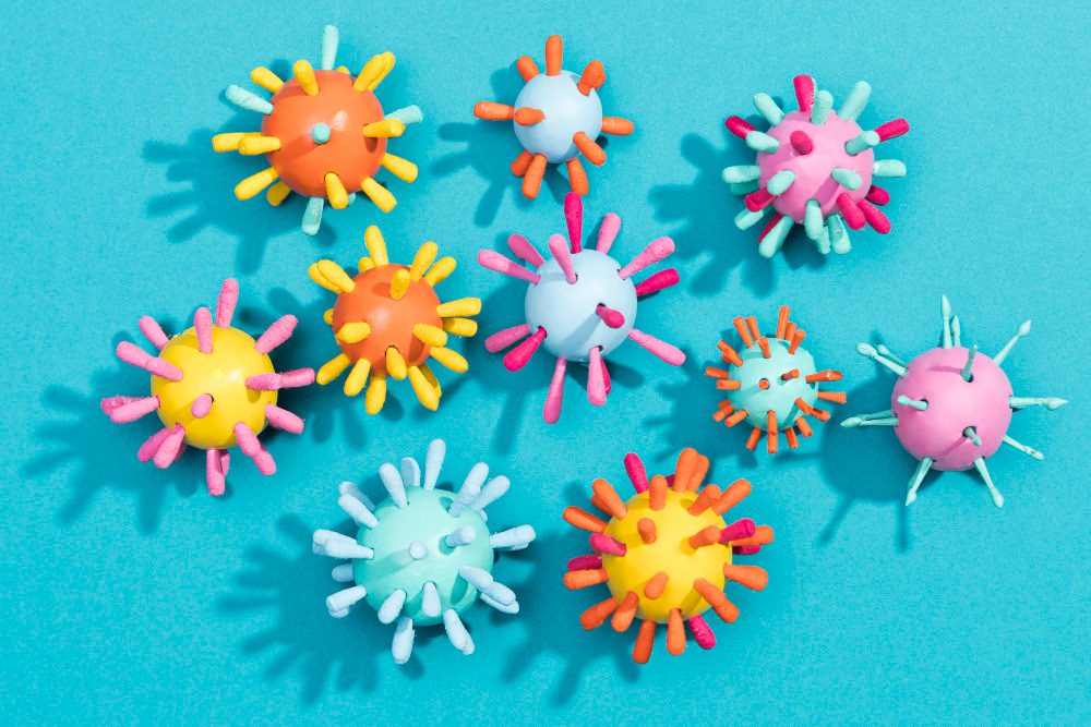 Fotosentetik Bakteri Türleri