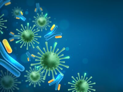 Bakteri Nedir? Bakterilerin Özellikleri Nelerdir?