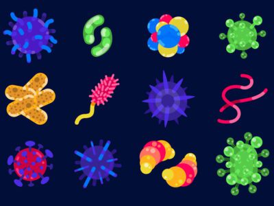 Mikroorganizma Nedir? Mikroorganizma Çeşitleri