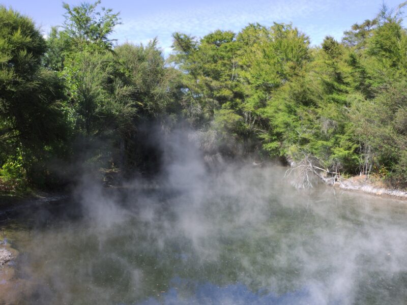 Beautiful scenery of a hot pool surrounded by green trees in New Zealand