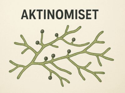 Aktinomiset Nedir? Aktinomisetlerin Özellikleri