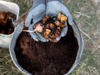 Kompost Nedir? Kompost Nasıl Yapılır?