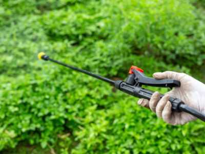 Pestisit Nedir? Pestisit Zararları Nelerdir?